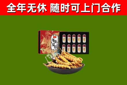 淮北市回收冬虫夏草价格